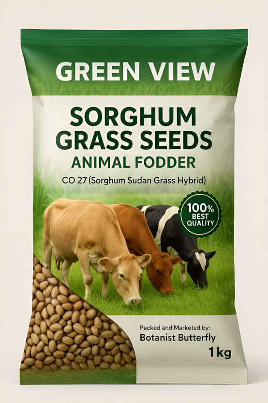 Green view Hybrid Sourghum Grass CO-27, Cow Buffelo Goat Pig Sheep, Multicut Sweet Fodder 1 Kg Seed(1 per packet)