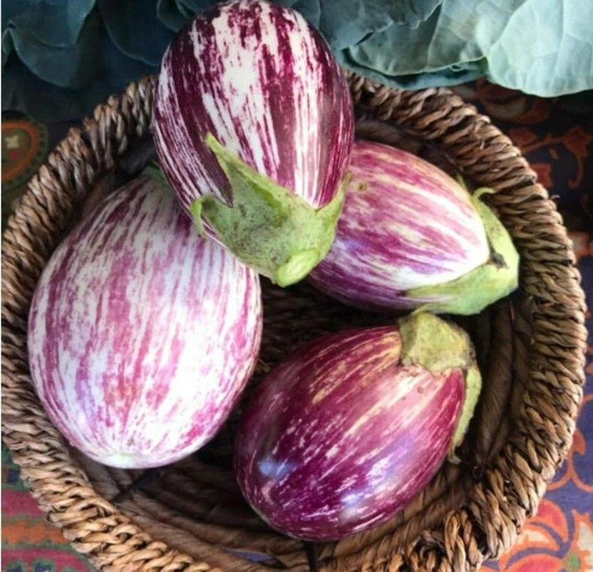 Silba Brinjal, Baingan Patra, Kathirikai Seed(100 per packet)