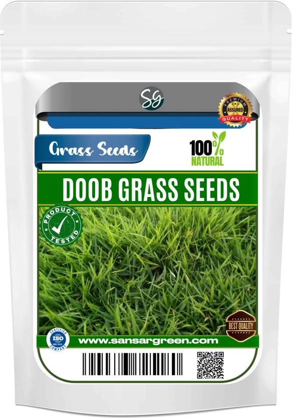 Sansar Green Doob Grass Seed Price in India Buy Sansar Green Doob
