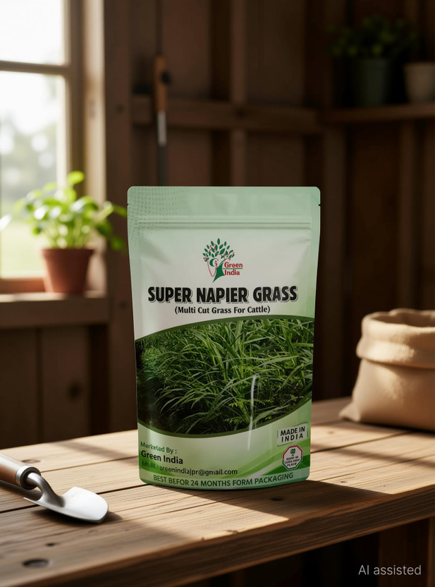 Green India SUPER NAPIER GRASS Seed (100 g) Seed(100 g)