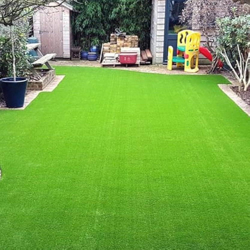 LIFELEX Lawn Grass Seeds - Seeds for Healthy Lawn Seed(1500 per packet)