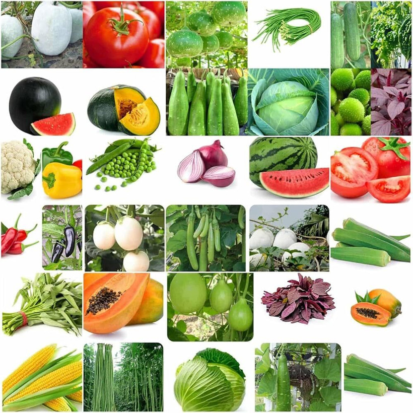 ibains Vegetable seeds combo pack hybrid Seed(410 per packet)