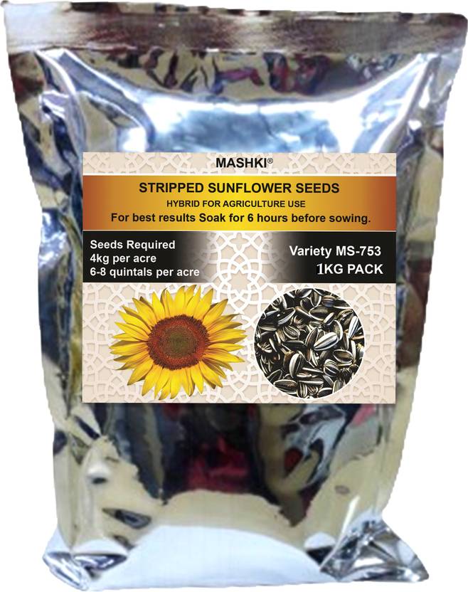 MASHKI Hybrid Sunflower Seeds for Farming, Surajmukhi ke beej, 1Kg Bag