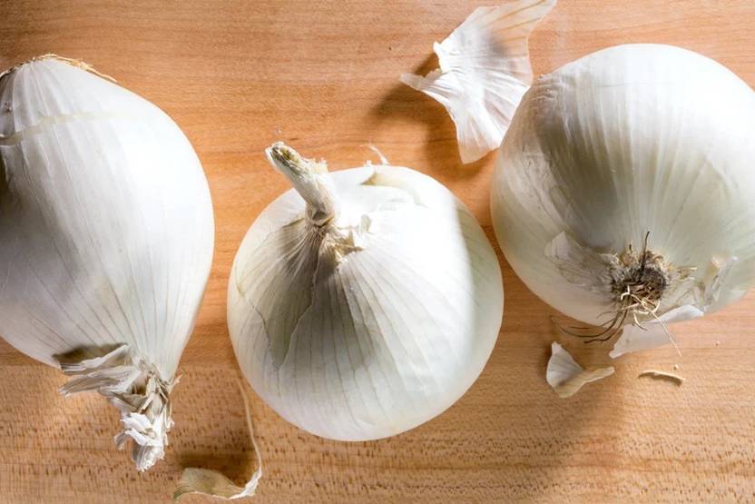 WATIKA White Sweet Spanish Onion Seed Price in India Buy WATIKA White