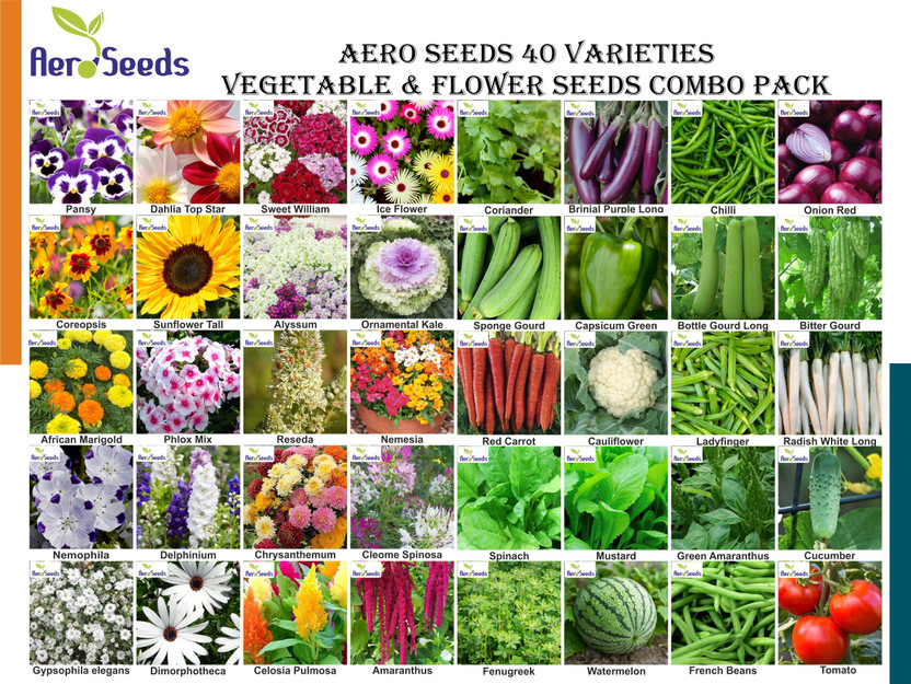 Aero Seeds 40 varieties seeds combo pack with instruction manual. Seed(40 per packet)