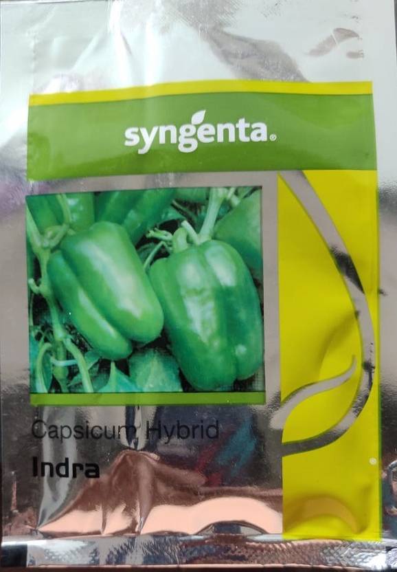 syngenta Capsicum, Indra1000 Seed Price in India Buy syngenta