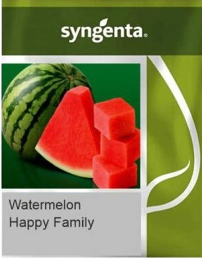 TRICONE SYNGENTA Happy Family Water Melon 800 seeds Seeds Seed Price in