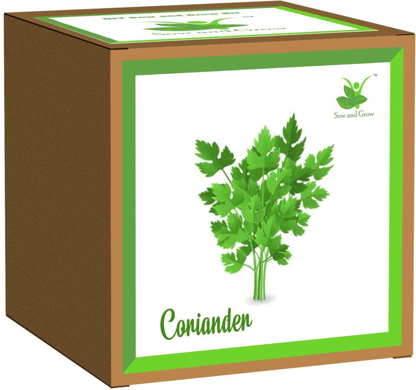 Sow and Grow Coriander Seed(1 per packet)
