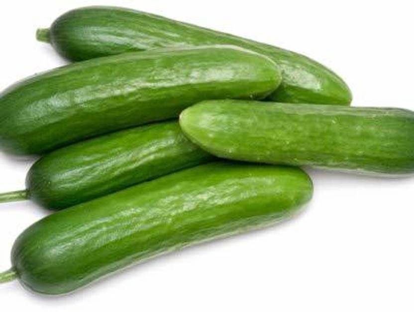 TRICONE HYBRID Vegetable Cucumber Kheera Organic 200 Seeds KS82 Seed