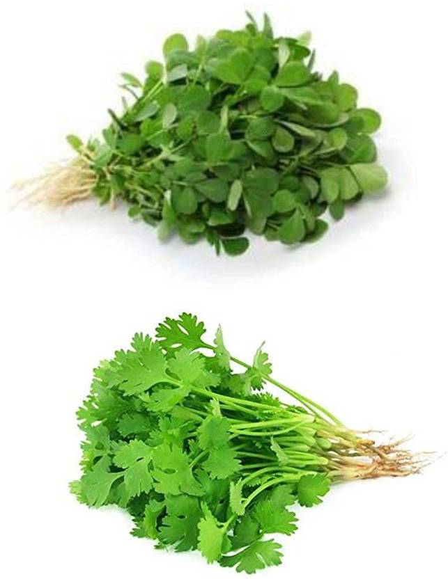 CYBEXIS Desi Coriander Fenugreek Seeds Seed Price in India Buy