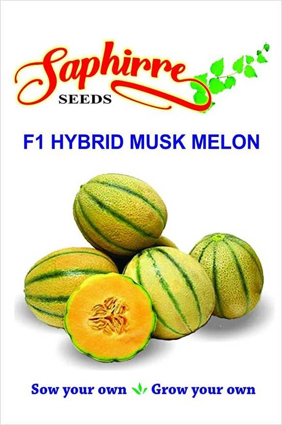 Saphirre Seeds Musk Melon, Kharbooja Seed Price in India Buy Saphirre