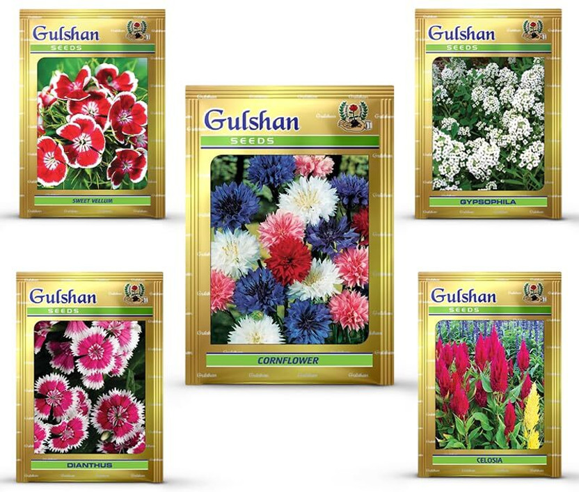 Gulshan Seed Farm Cut Flower Seeds Combo | Dianthus, Cornflower, Celosia, Sweet Vellum, Gypsophila Seed(25 per packet)