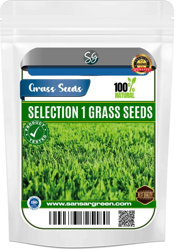 Sansar Green Selection 1 Grass Seeds for Lawn Seed Price in India Buy