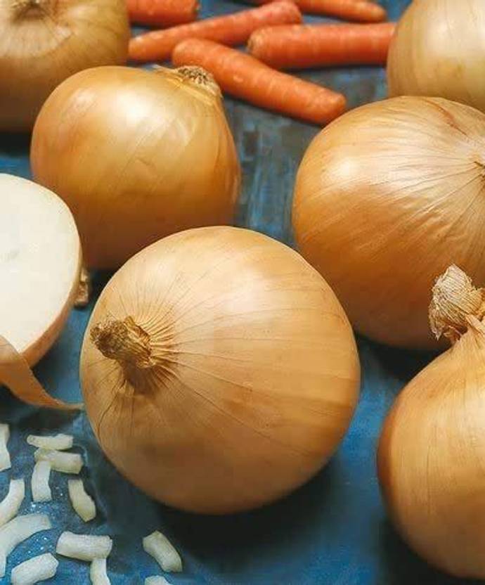 CYBEXIS Walla Onion Vegetable Seeds 4000 Seeds Seed Price in India