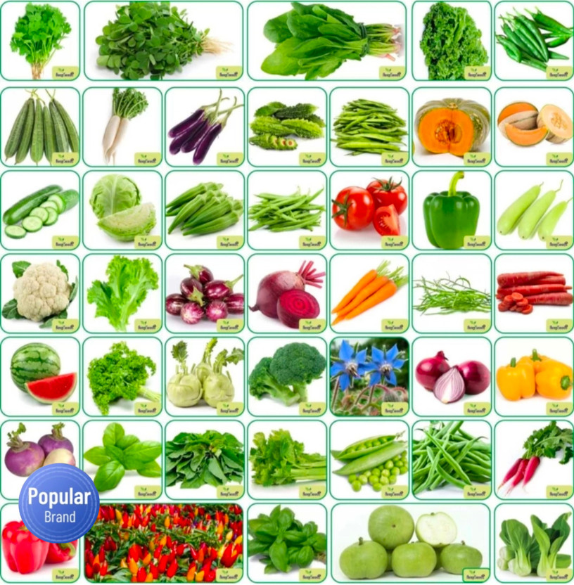 HYBRID All vegetable variety seeds minimum 25-30 variety (2500+seeds) use any season Seed(100 g)