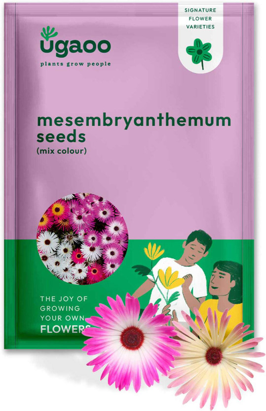 UGAOO Mesembryanthemum Flower Seed(200 per packet)