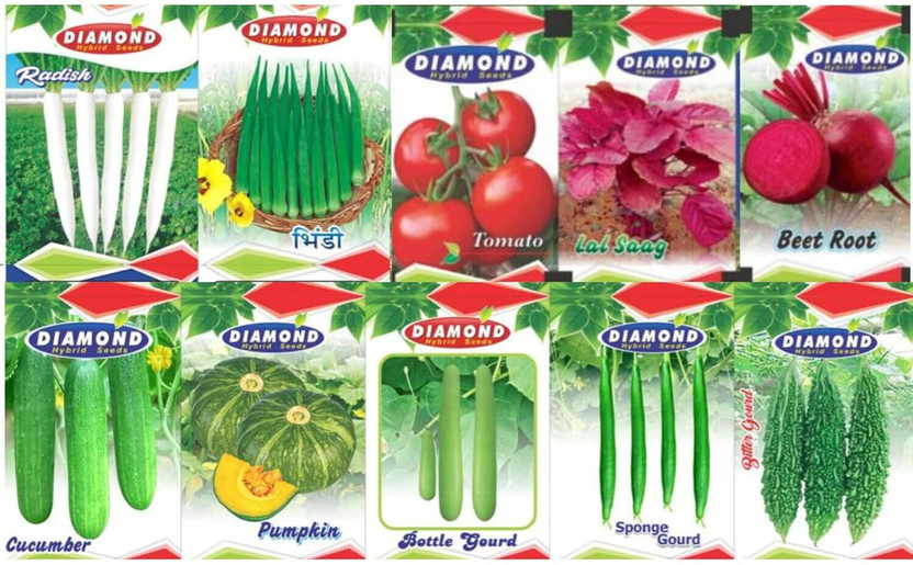 HYBRID Garden Vegetable Seeds Combo Pack, 10 Varieties, 1500+ Seeds for Home Growing Seed(100 g)