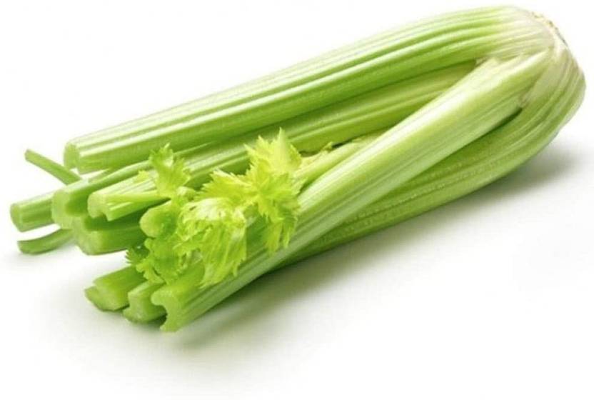 CYBEXIS HighYield DiseaseResistant YellowGreen Celery 2800 Seeds