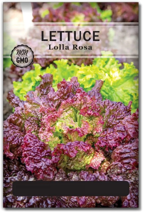 Quentova Quentova Lolla Rosa Lettuce 0.5gm Seed(400 per packet) - Flipkart Deal