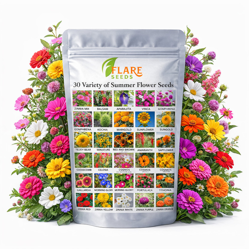 FLARE SEEDS 30 Variety Of Summer Flower Seeds Combo Pack For Home Gardening Seed(30 g)