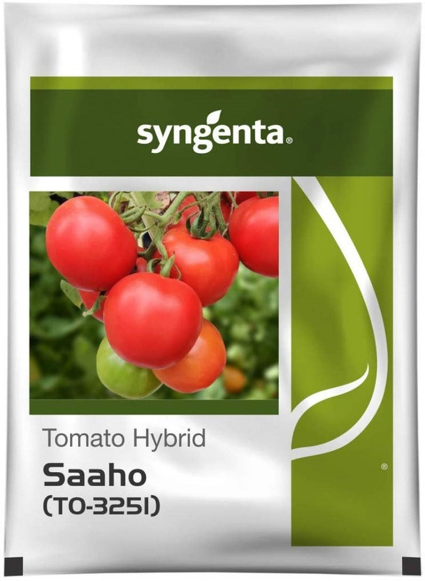 gorgeous moment tomato Seed(4000 per packet)