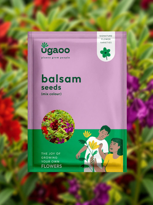 UGAOO Balsam Flower Seeds Seed(200 per packet)