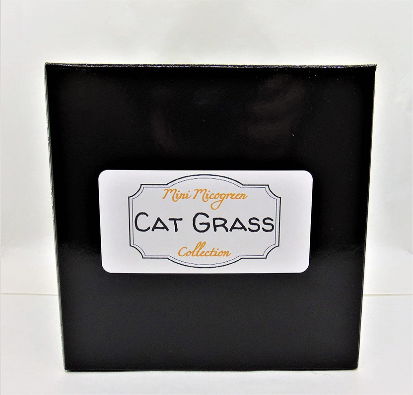 WILLVINE WILLVINE LX-27 Pet/Cat Grass Seeds Seed(1000 per packet) - Flipkart Deal