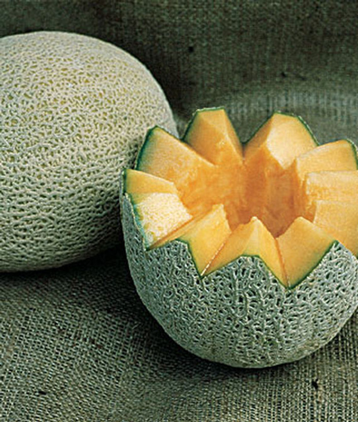 Qualitvate Hales Best Jumbo Melon Seed(960 per packet)