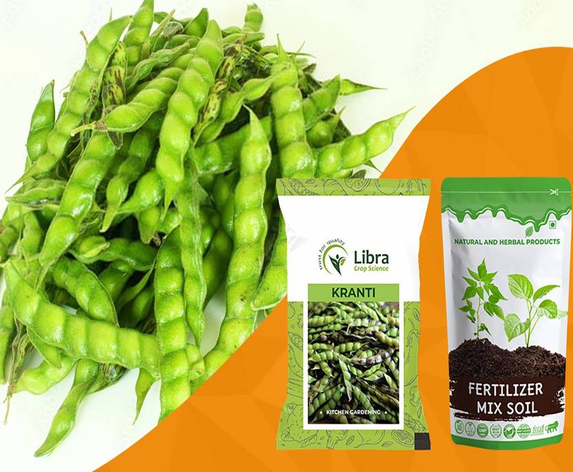 NATURAL AND HERBAL PRODUCTS Pigeon Pea Seeds for Farming Tur Tuver Vegetable Kitchen