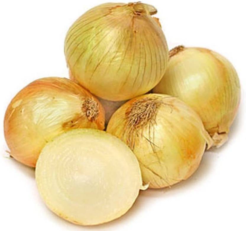 VibeX ® XLR233 Onion Seed Texas Super Sweet (Slicing) Onion Seed