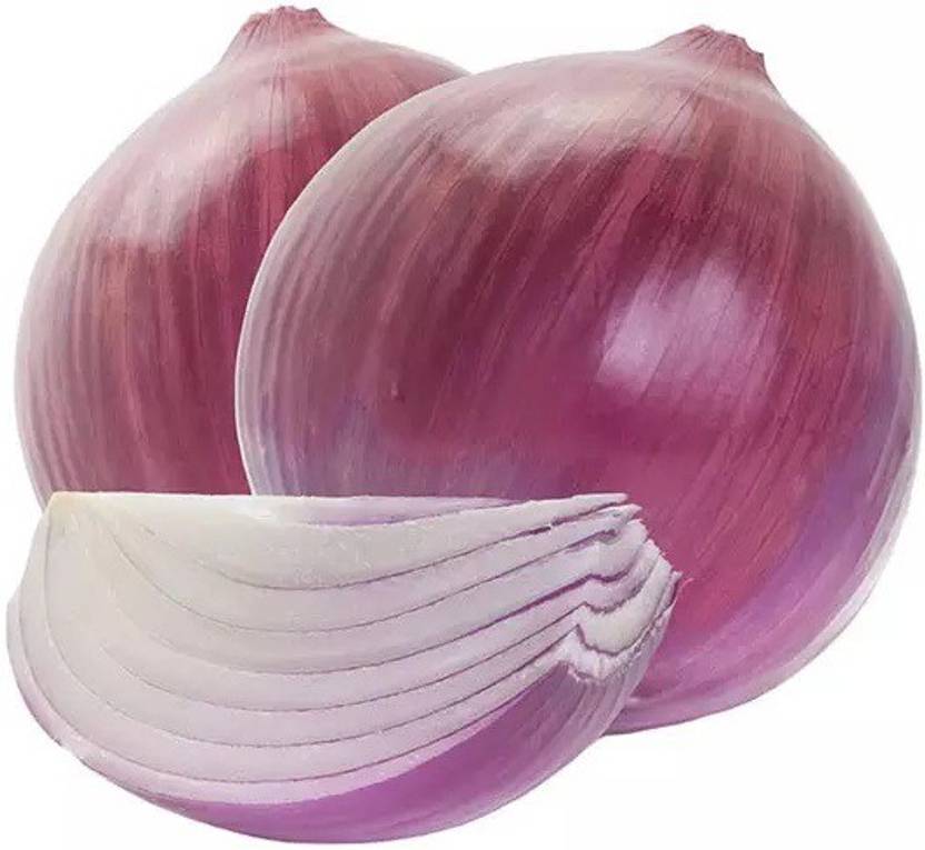 WATIKA Red Onion Vegetable Onions Seed Price in India Buy WATIKA Red