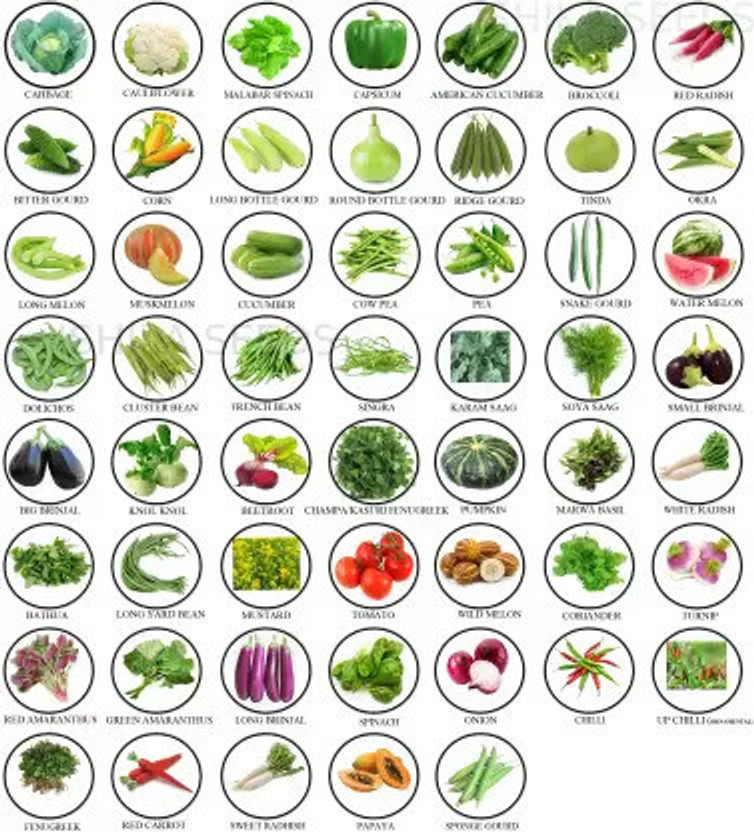 FLARE SEEDS 52 Variety of Vegetable Seeds Gardening Combo Seed(52 per packet)