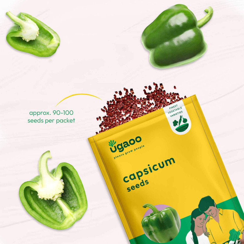 UGAOO Capsicum Vegetable Seed(50 per packet)