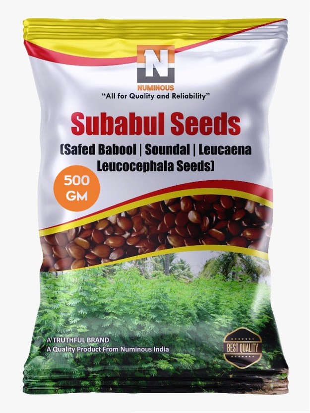 Numinous Subabul, Safed Babool, Soundal, Leucaena Leucocephala Fodder Tree Seed(500 g)