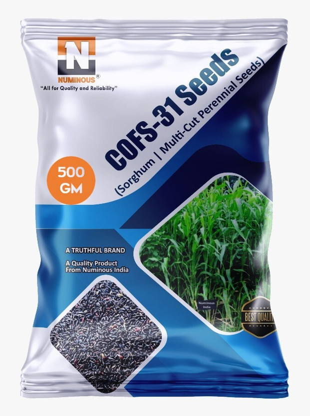 Numinous CoFs-31, Sorghum, Jowar, Multi-cut Perennial, Fodder Grass Seed(500 g)