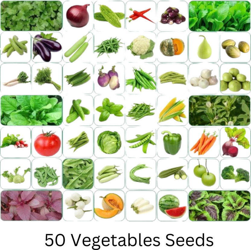 Cloud Farm Vegetables, Flowers Seed(25 per packet)