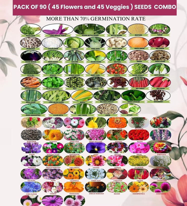 FLARE SEEDS Combo of 45 Flower and 45 Vegetable Seeds Perfect for Home Gardening Seed(90 per packet)
