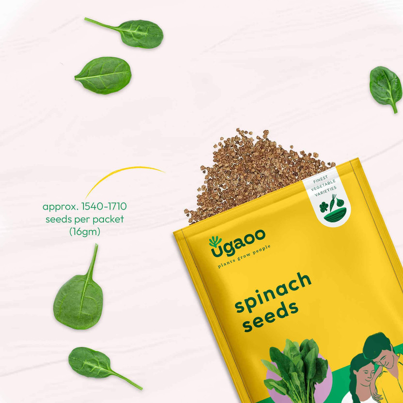 UGAOO Palak or Spinach Vegetable Seed(1700 per packet)