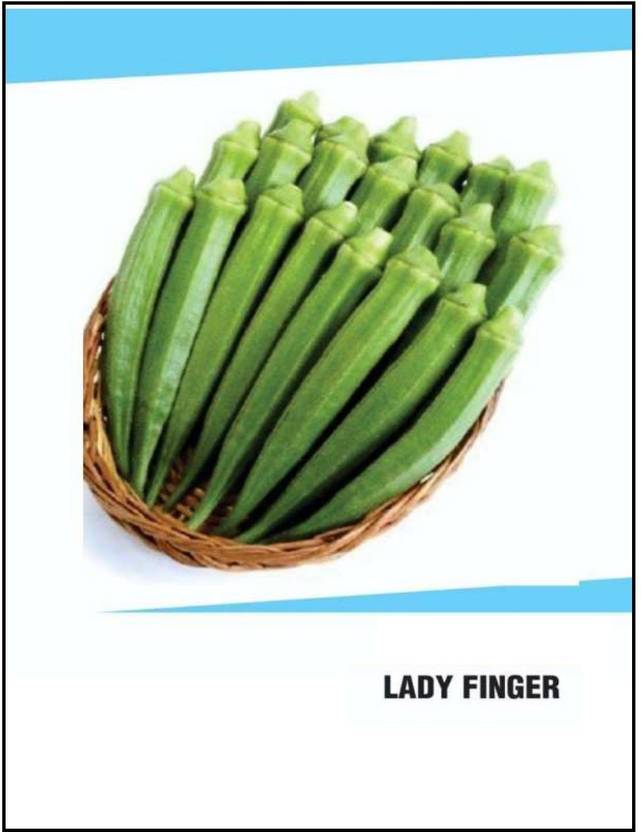 CYBEXIS Hybrid Lady finger Okra Seeds(500 Seeds) Seed Price in India