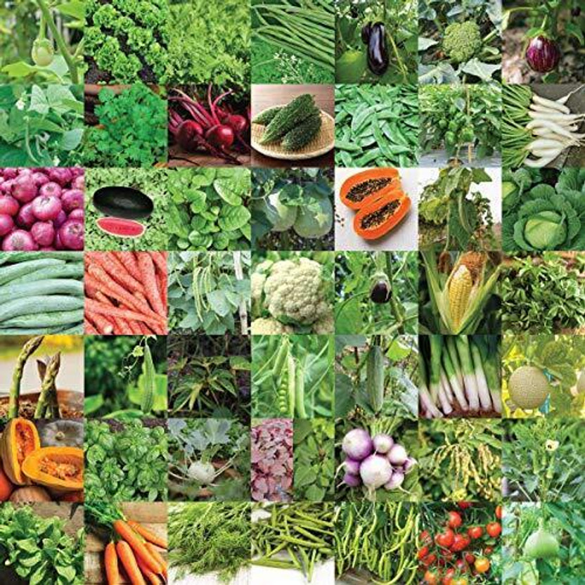 UGAOO Indian Vegetable Seeds Bank For Home Garden 50 Varieties - 2255 Seeds Seed(2255 per packet)