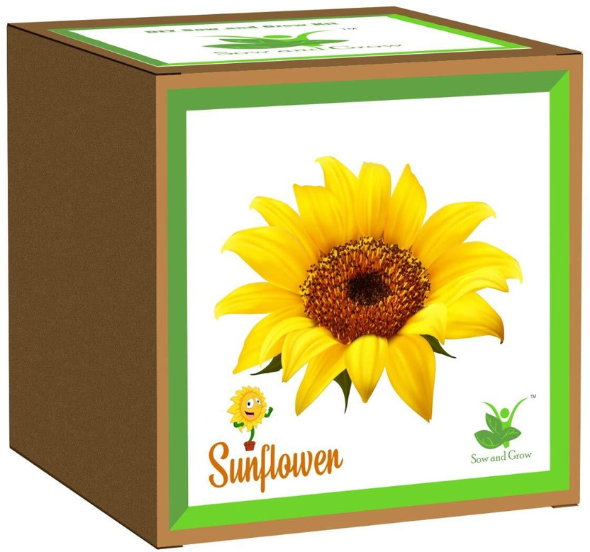 Sow and Grow Seed Starter Grow Kit of Sunflower DIY Easy Grow it Yourself Gardening Kit Seed(1 per packet)