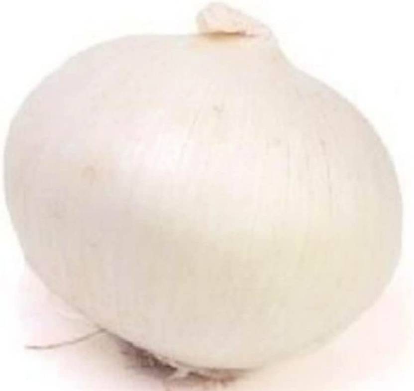 VibeX ® VLR329 Eclipse L303 White Onion Seeds Seed Price in India