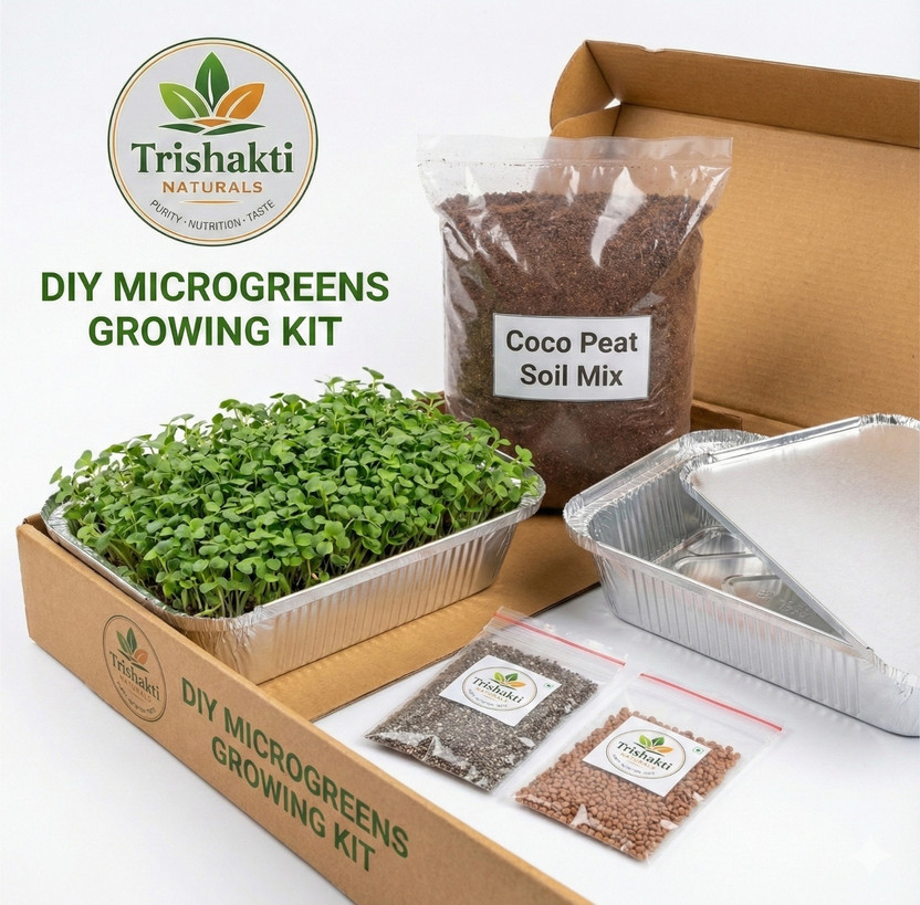 Trishakti Naturals Microgreens Growing Kit – Combo Pack | Trishakti Naturals Seed(1 per packet)