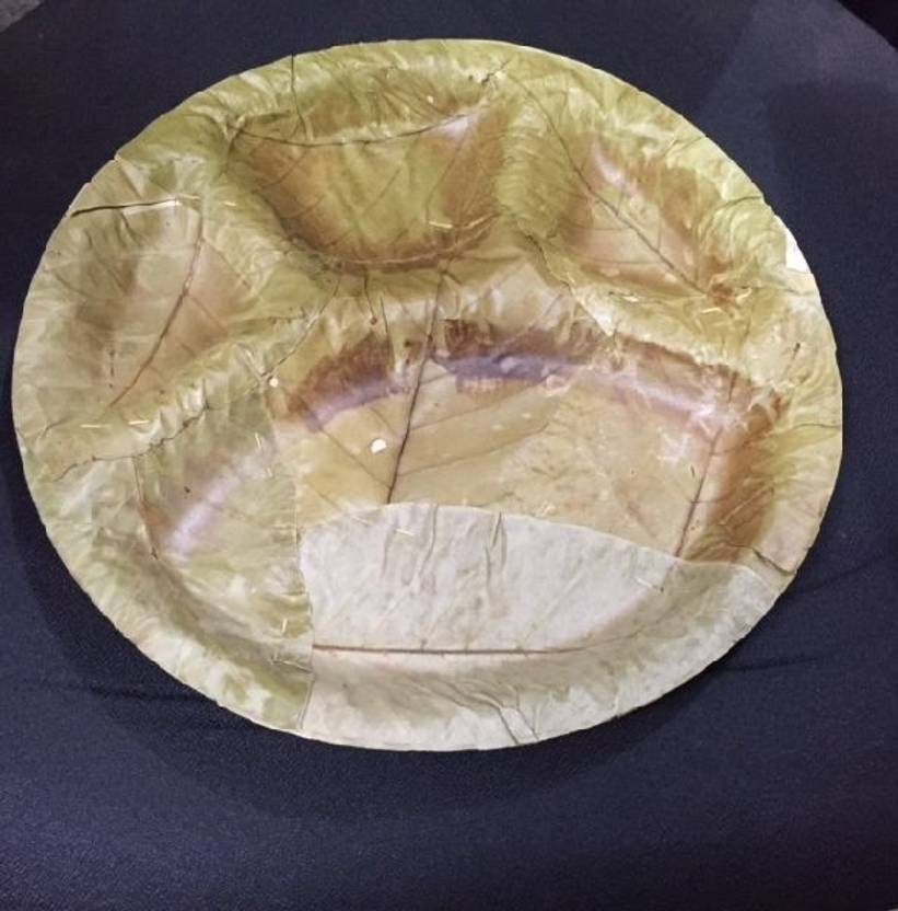 Ganpati Dry saal leaf plates Dinner Plate Price in India Buy Ganpati