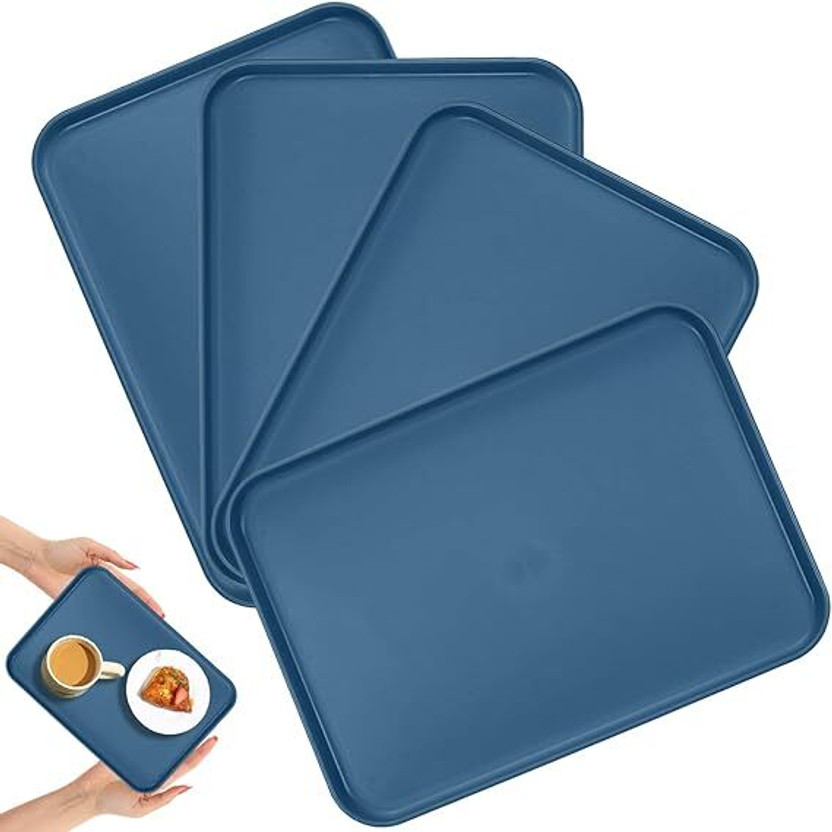 Takositio 4P Dinner Food Trays for Eating Party Platters for Serving Food Decorative Tray(Pack of 4)