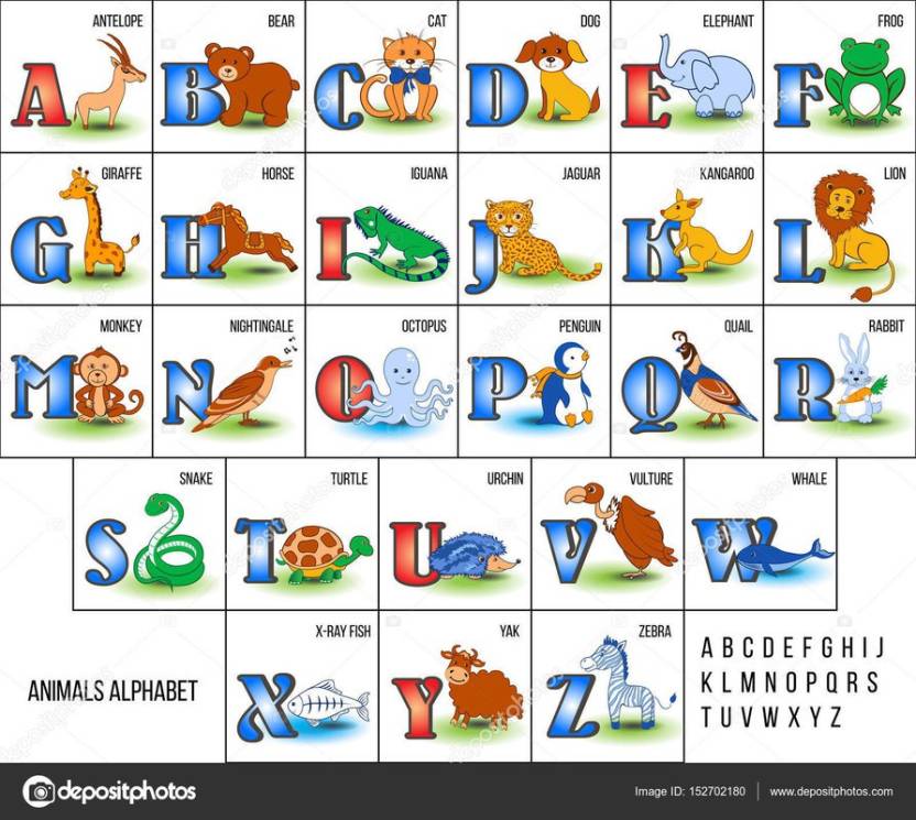 Abcd alphabet chart Poster Multicolor Photo Paper Print Poster ...