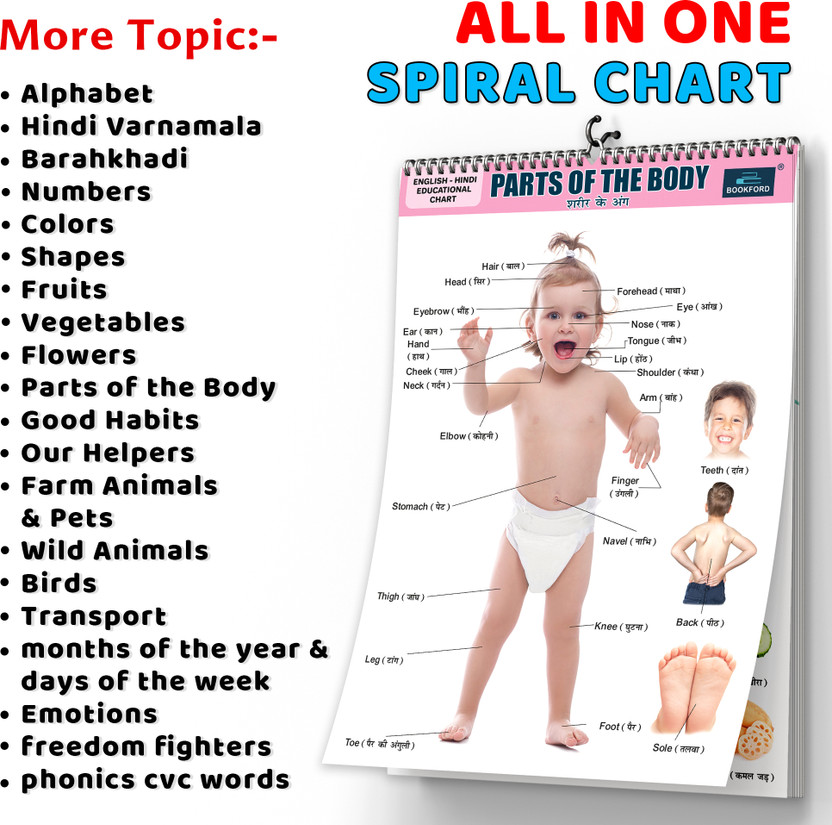 20-in-1 20-in-1 Parts of the Body Chart for Kids – Educational Human Body Learning Wall Chart with Realistic Pictures, Big Fonts and Easy-to-Read Names – Double-Sided Spiral Paper Print(19 inch X 14 inch, front and back sides) - Flipkart Deal