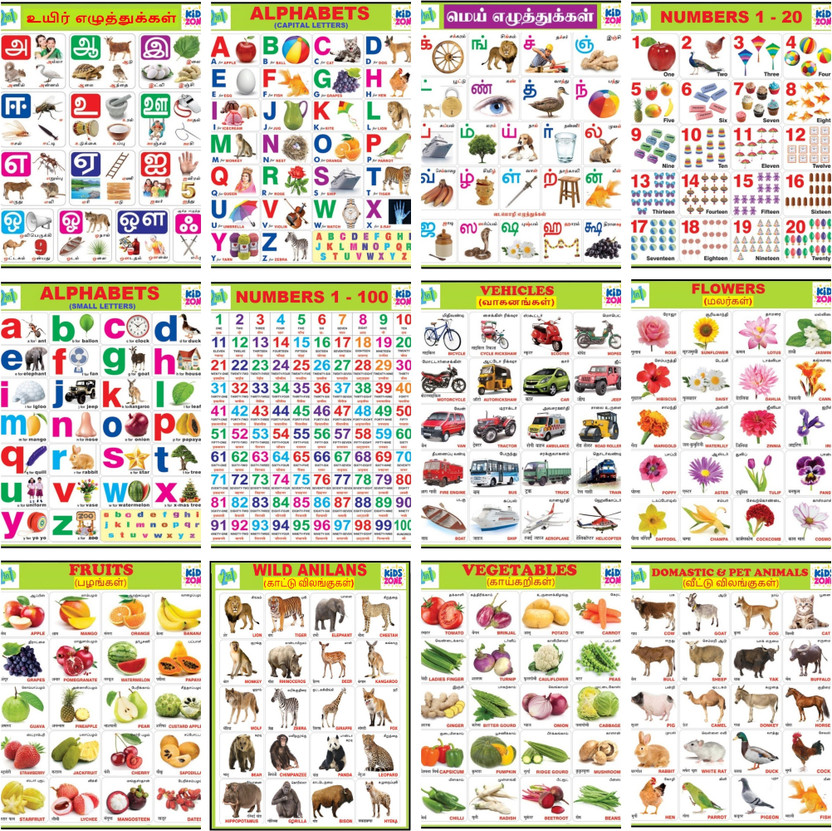 Tamil & English Wall Charts (12 Charts ) Back to Back | 37 x 48 cm - Kids Wall Picture Chart | Tamil Alphabets, English Alphabets, Numbers Fine Art Print(19 inch X 14 inch)