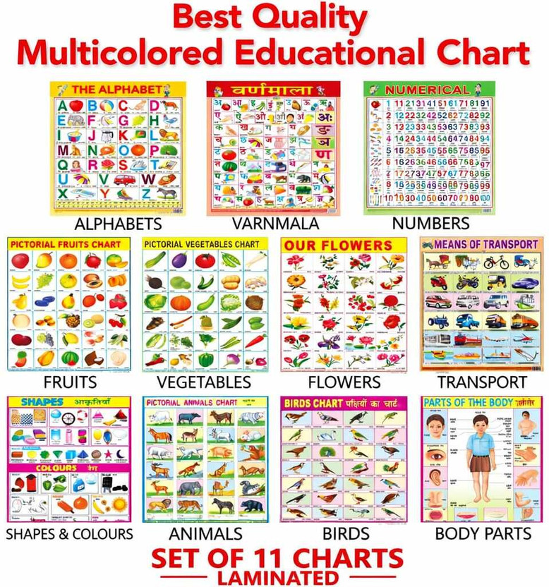 All in One Educational Charts for Kids | Learn about English Alphabet, Fruit, Vegetables, Animals, Birds, Part of Body, Hindi Vernmala, Transport, Numerical, Colour Shape & Flowers with Waterproof Picture Chart Paper Print(18 inch X 23 inch, 11 chart)