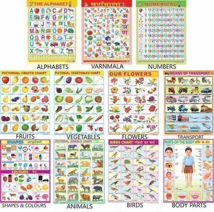 All in One Educational Charts for Kids | Learn about English Alphabet, Fruit, Vegetables, Animals, Birds, Part of Body, Hindi Vernmala, Transport, Numerical, Colour Shape & Flowers with Waterproof Picture Chart Paper Print(18 inch X 23 inch, 11 chart)